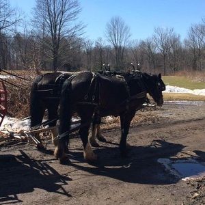 Meet your Posher, Steve